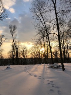 February Winterscapes