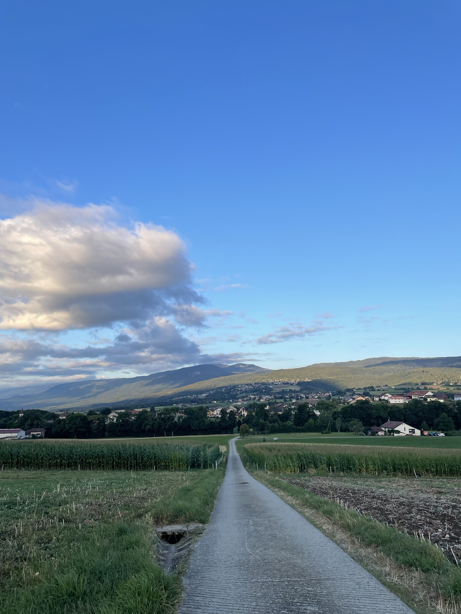 A Field Path Through Burtigny